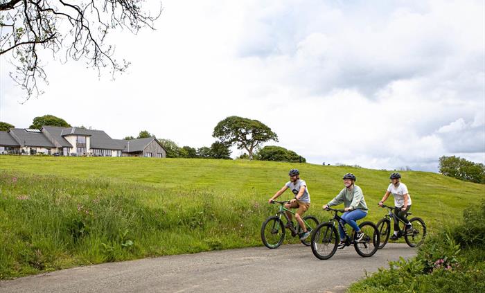 Llys-y-frân Lake & Visitor Centre